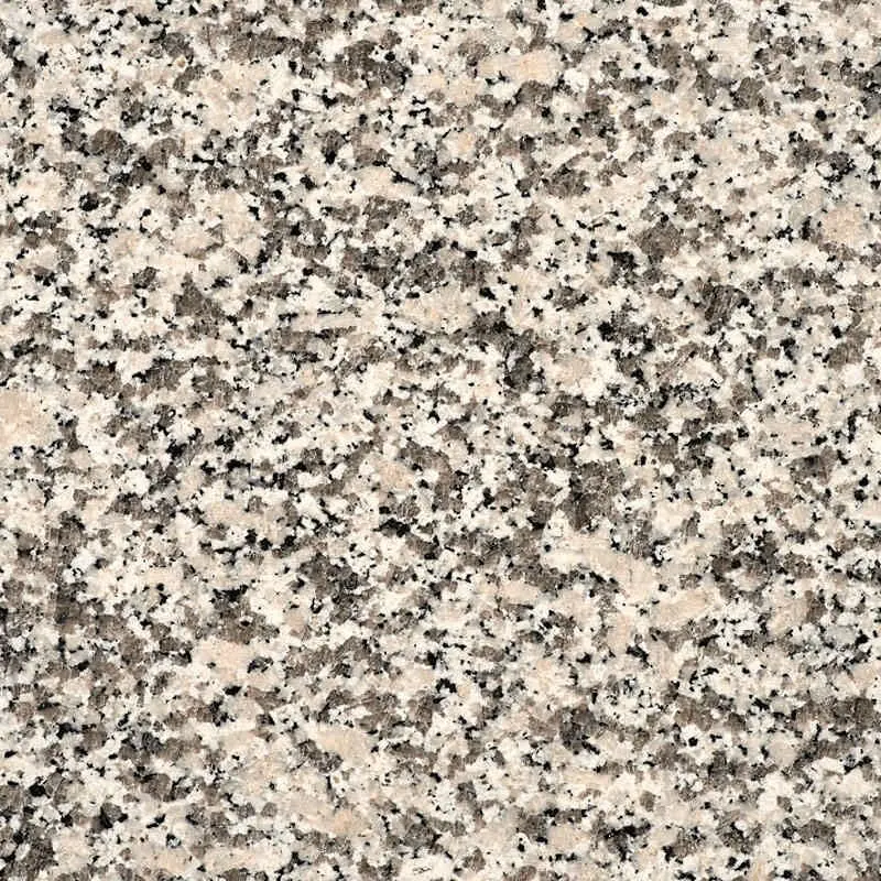 Bianco-Sardo-1